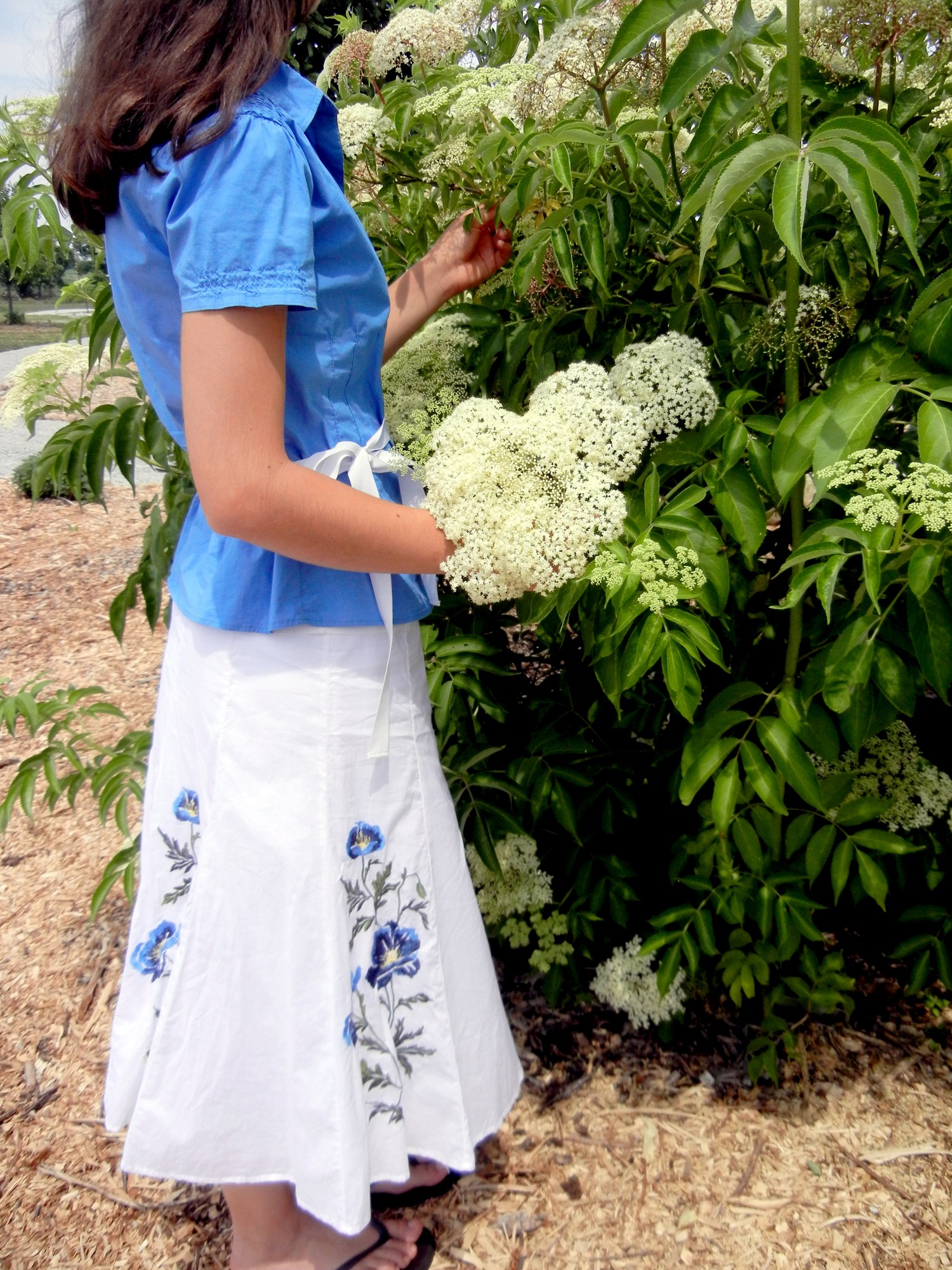 picking bouquet