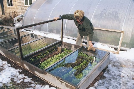 Choosing A Cold Frame That Works for You & 5 Plants That Defy the Snow. A large cold frame in chilly Maine.